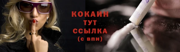 не бодяженный Бородино