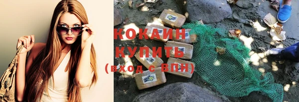 не бодяженный Бородино
