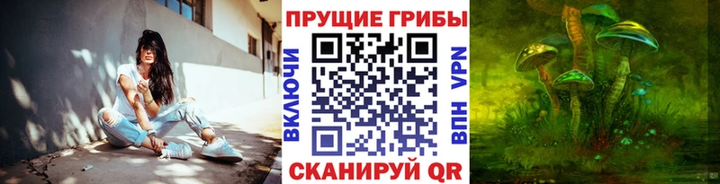 Псилоцибиновые грибы MAGIC MUSHROOMS  Нелидово 